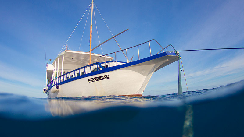 View more details about 马尔代夫邮轮套餐 holiday package at cn