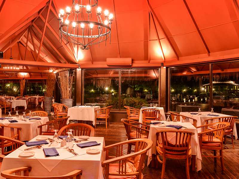 主餐厅（蕉叶餐厅） gallery images