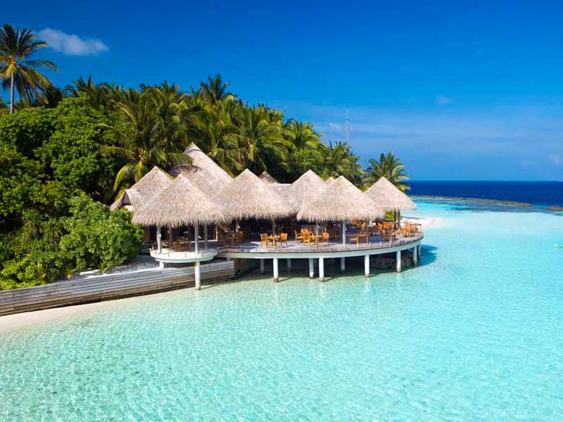 Cayenne国际餐厅 gallery images