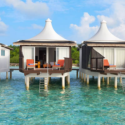 月桂哈库拉岛 images