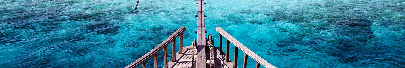 Under water scenery with shoal of fish in Maldives