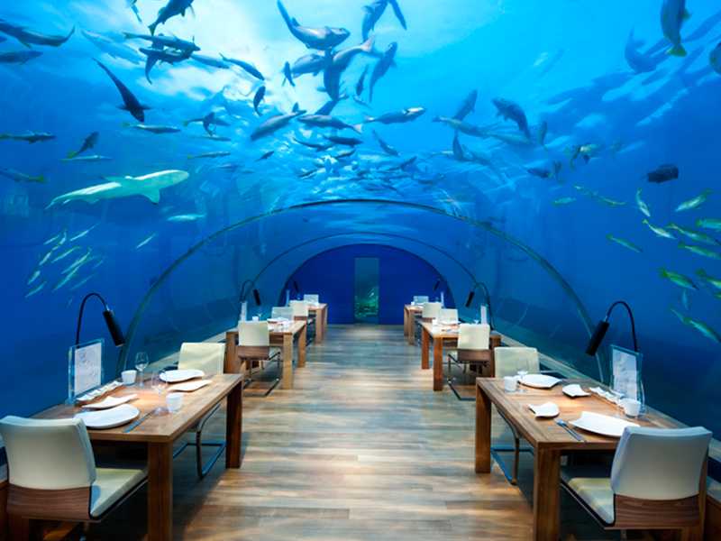 Ithaa Undersea Restaurant gallery images