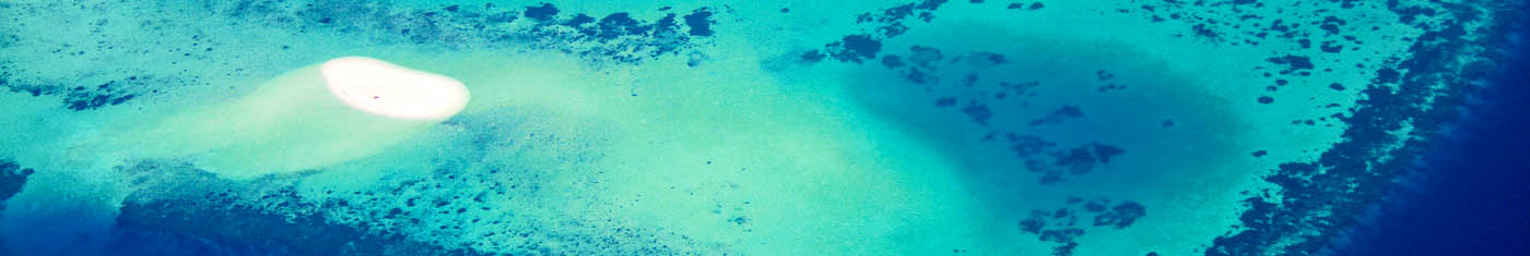 Zoomed view of underwater life in Maldives sea the best way to spend your vacation