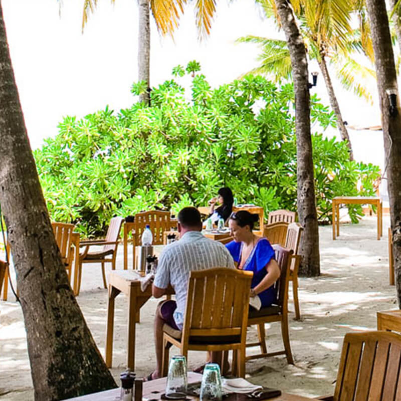 Family Plane offer images