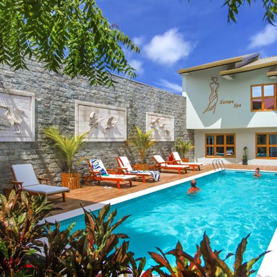 Swimming pool and sun beds of the hotel