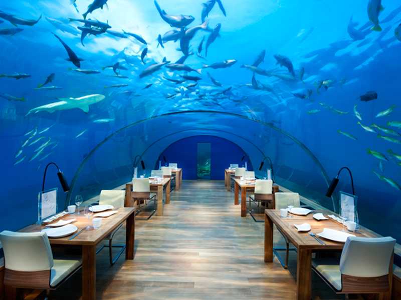 Ithaa Undersea Restaurant gallery images