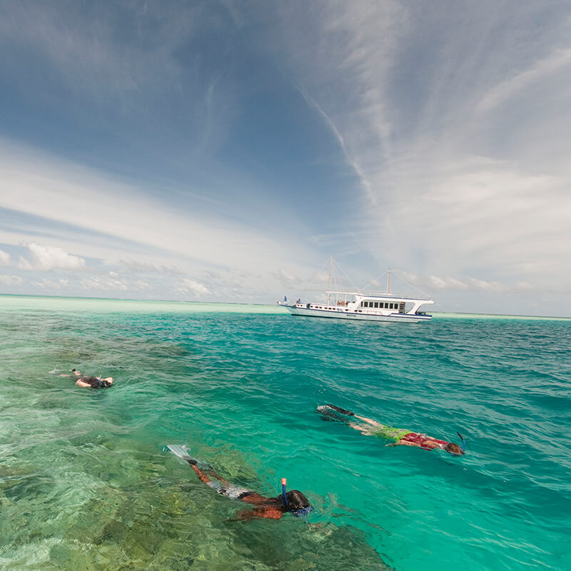 View more details about snorkelling holiday package at vacations maldives