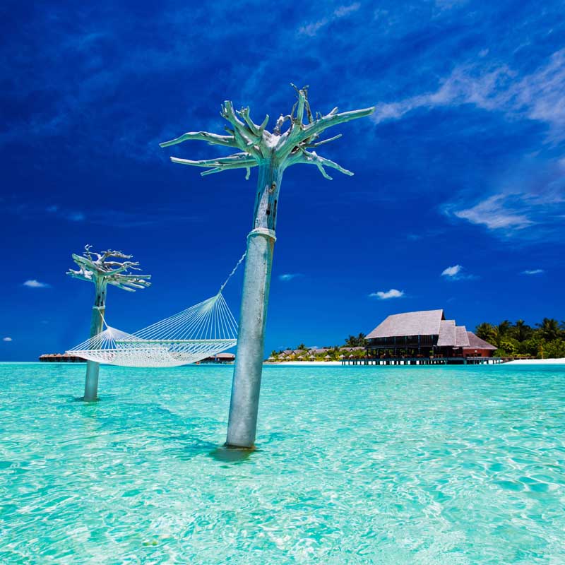 Over water hammock with amazing views of the shallow sea