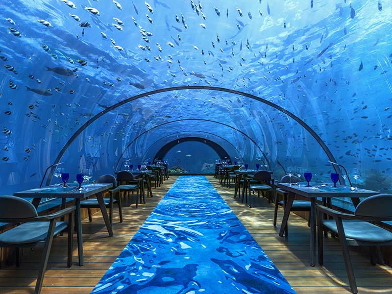 Seasoned With Awe: 5.8 Undersea Restaurant gallery images