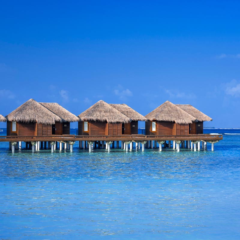 Sheraton Maldives Full Moon Resort and Spa gallery images